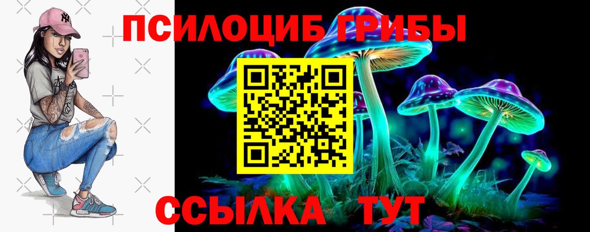 Псилоцибиновые грибы мицелий Изобильный