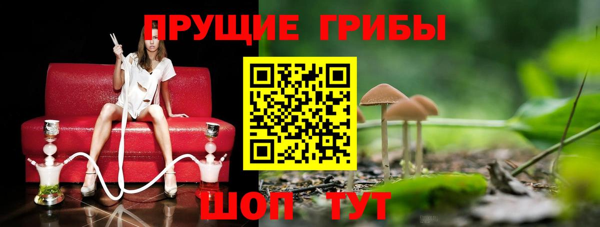 Псилоцибиновые грибы прущие грибы  закладка  Изобильный  Вход с VPN  Псилоцибиновые грибы GOLDEN TEACHER 