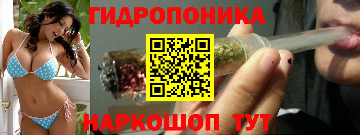 Бошки Шишки семена Изобильный